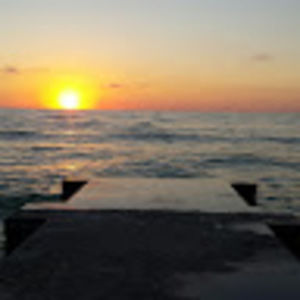 Meet your Posher, Cassidy